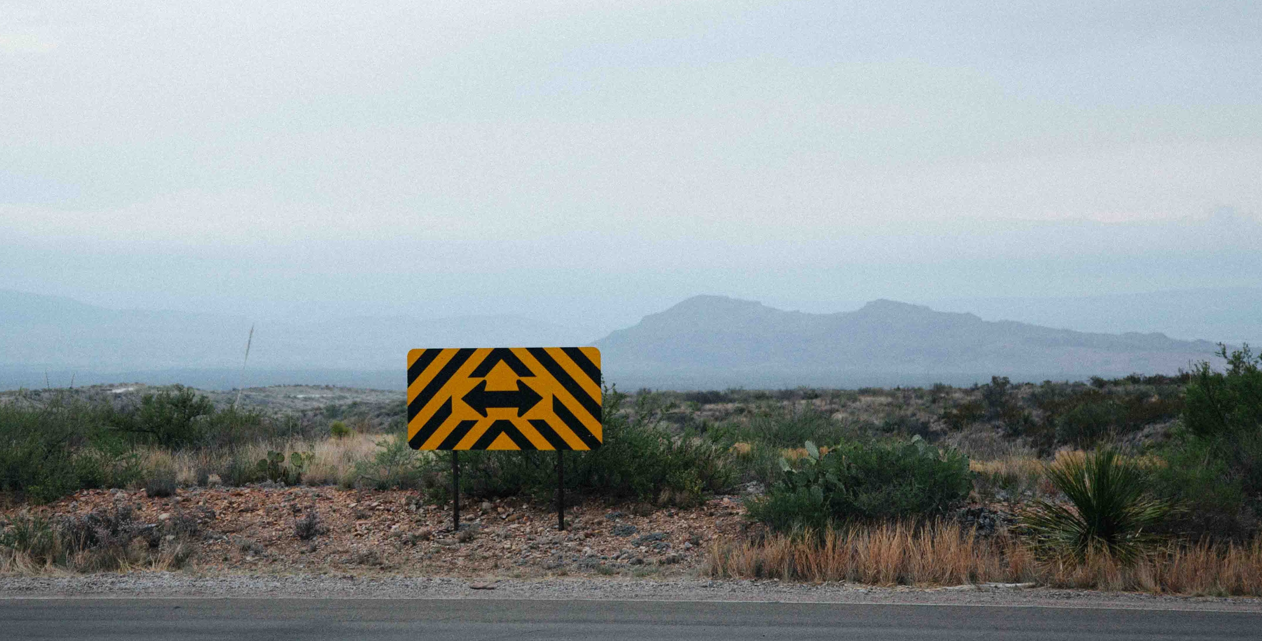 The Best Article You Will Ever Read - Probably