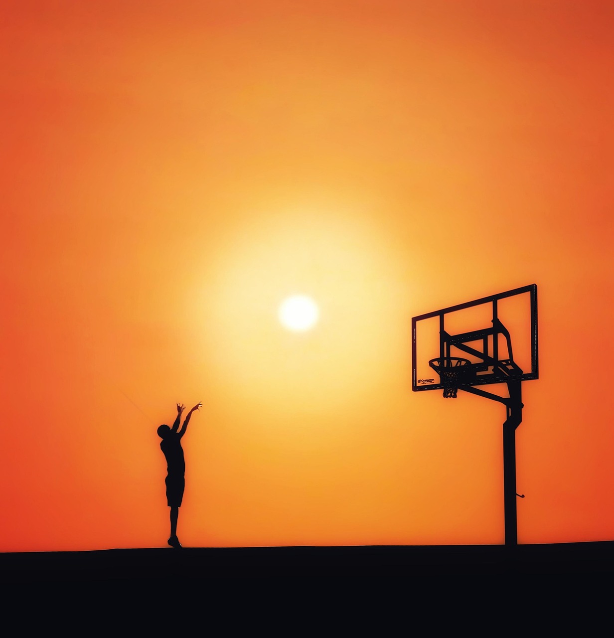 What Organisations Practise Becomes What They Are Good At